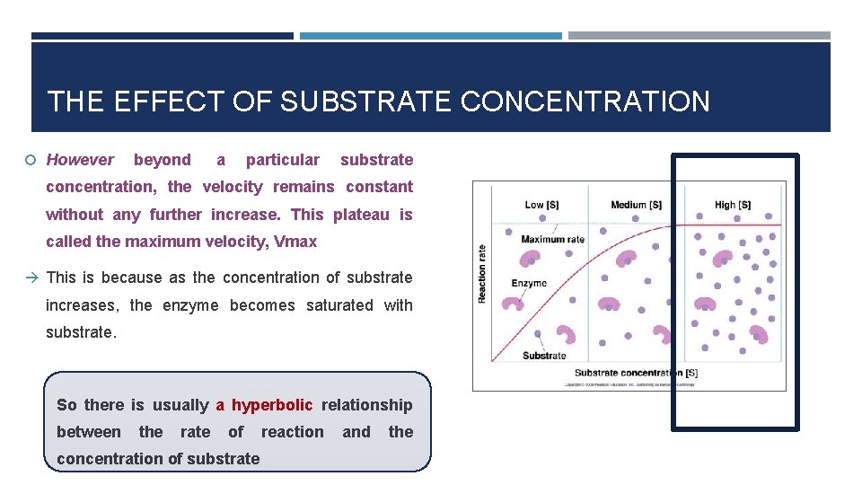 THE EFFECT OF SUBSTRATE CONCENTRATION However beyond a particular substrate concentration, the velocity remains