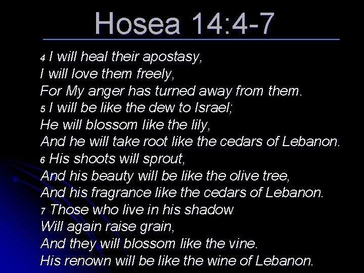 Hosea 14: 4 -7 I will heal their apostasy, I will love them freely,