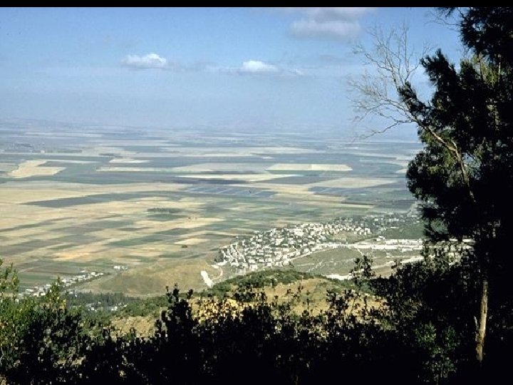 Hosea’s Children l Jezreel: The Hebrew word “Jezreel” means “God sows” or “God scatters”