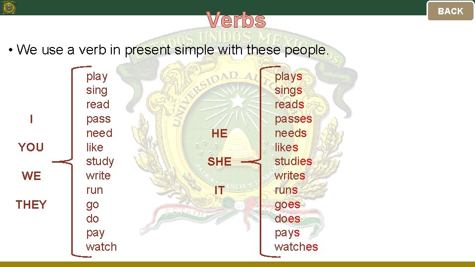 BACK Verbs • We use a verb in present simple with these people. I