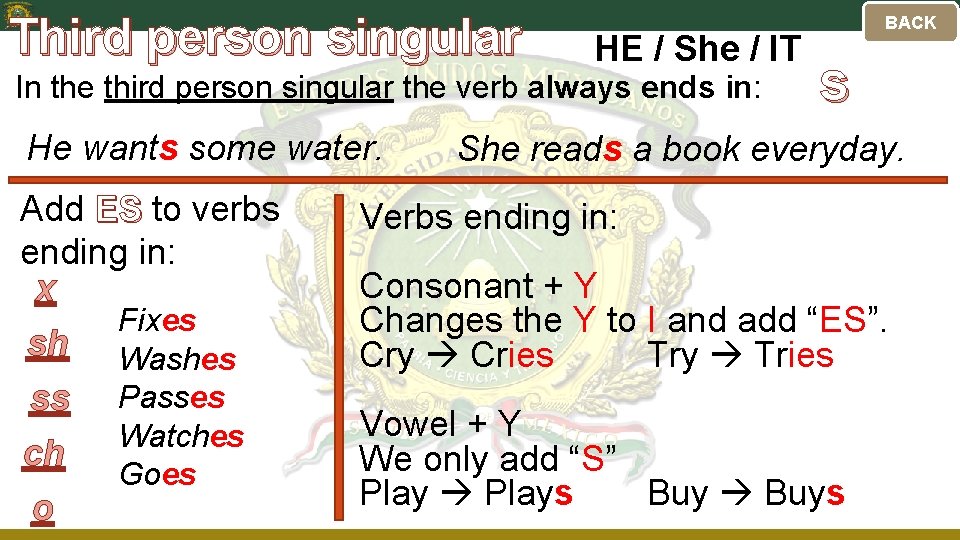 Third person singular HE / She / IT In the third person singular the