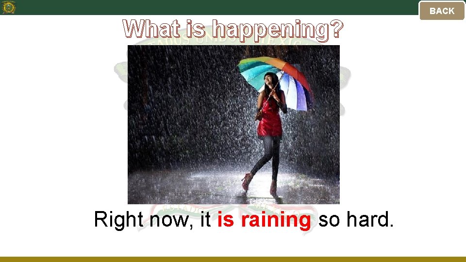 What is happening? Right now, it is raining so hard. BACK 