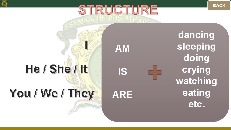 STRUCTURE I He / She / It You / We / They AM IS