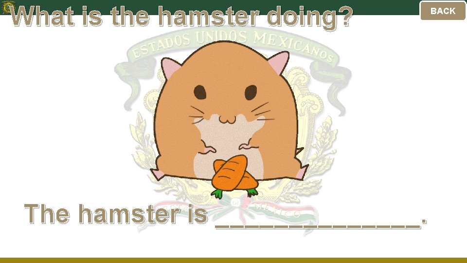 What is the hamster doing? The hamster is _______. BACK 