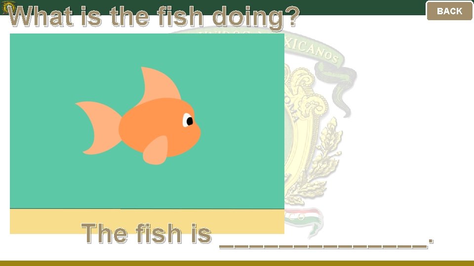 What is the fish doing? The fish is _______. BACK 
