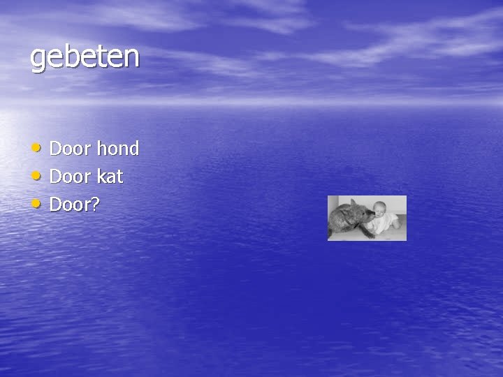 gebeten • Door hond • Door kat • Door? 