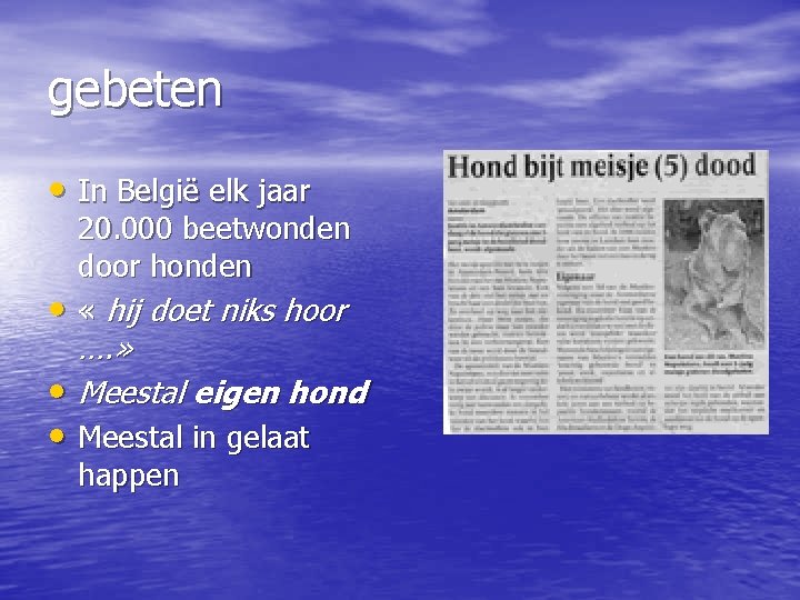 gebeten • In België elk jaar • 20. 000 beetwonden door honden « hij