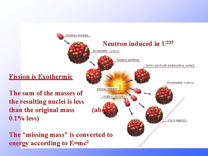 Neutron induced in U 235 Fission is Exothermic The sum of the masses of