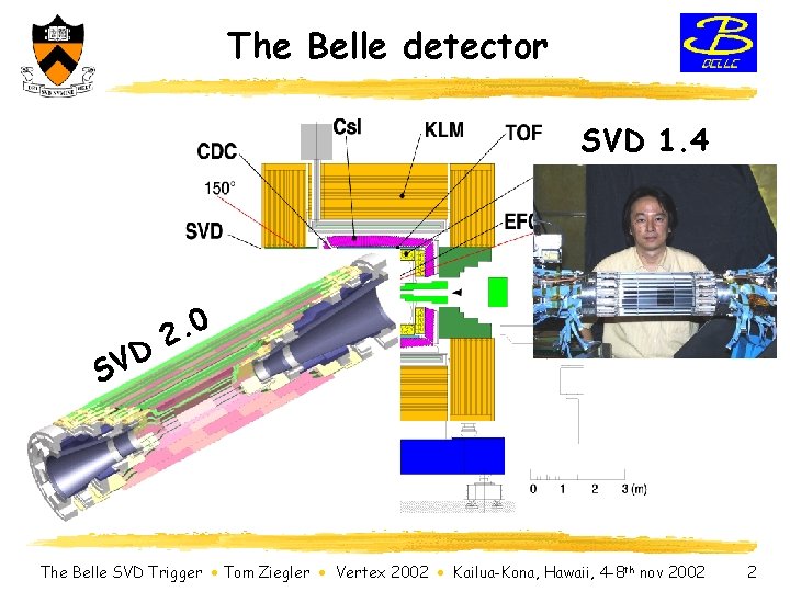 The Belle detector SVD 1. 4 D V S 0. 2 The Belle SVD