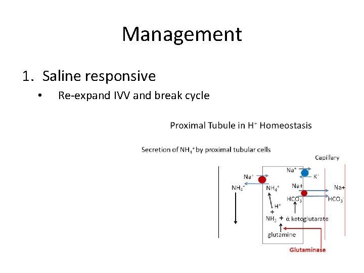 Management 1. Saline responsive • Re-expand IVV and break cycle 