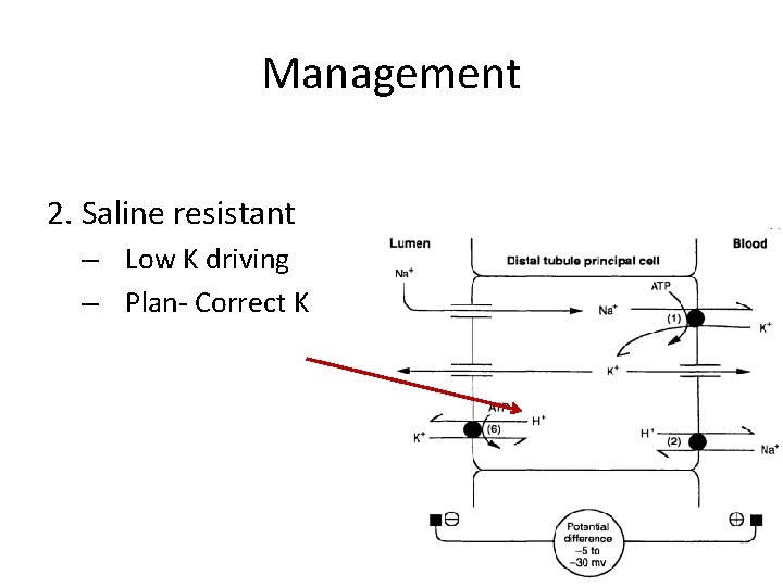 Management 2. Saline resistant – Low K driving – Plan- Correct K 