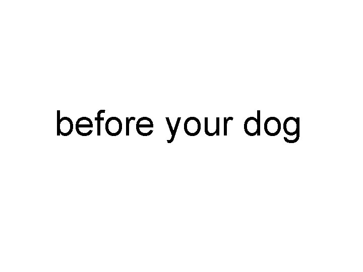 before your dog 