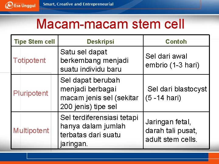 Macam-macam stem cell Tipe Stem cell Totipotent Pluripotent Multipotent Deskripsi Satu sel dapat berkembang