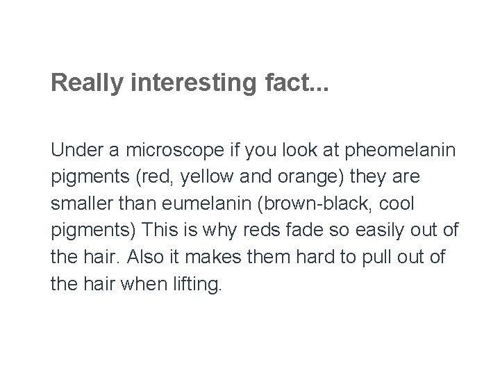 Really interesting fact. . . Under a microscope if you look at pheomelanin pigments