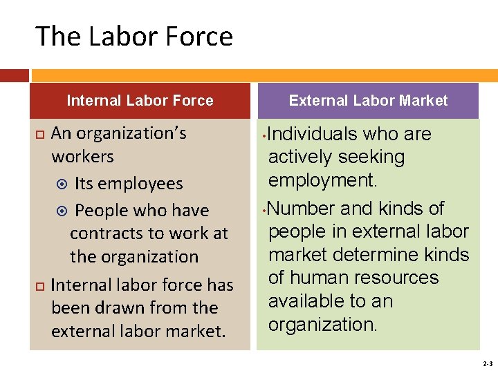 The Labor Force Internal Labor Force An organization’s workers Its employees People who have