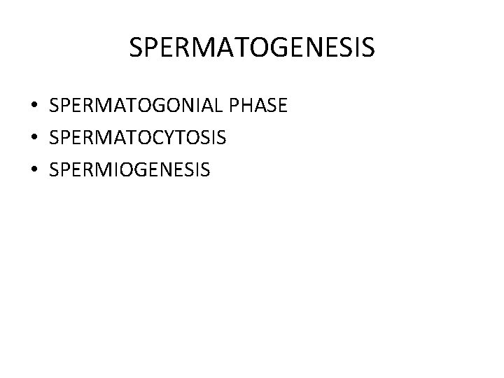 SPERMATOGENESIS • SPERMATOGONIAL PHASE • SPERMATOCYTOSIS • SPERMIOGENESIS 
