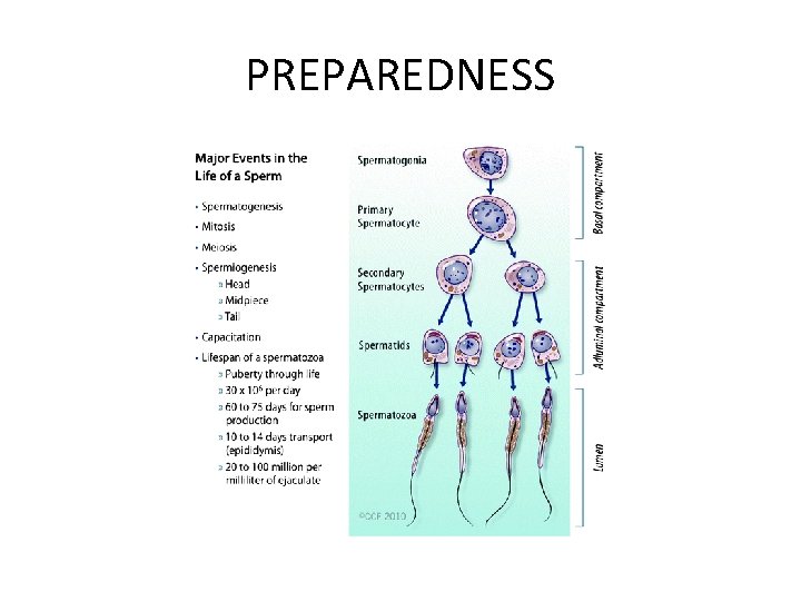 PREPAREDNESS 