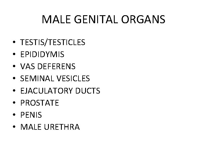 MALE GENITAL ORGANS • • TESTIS/TESTICLES EPIDIDYMIS VAS DEFERENS SEMINAL VESICLES EJACULATORY DUCTS PROSTATE