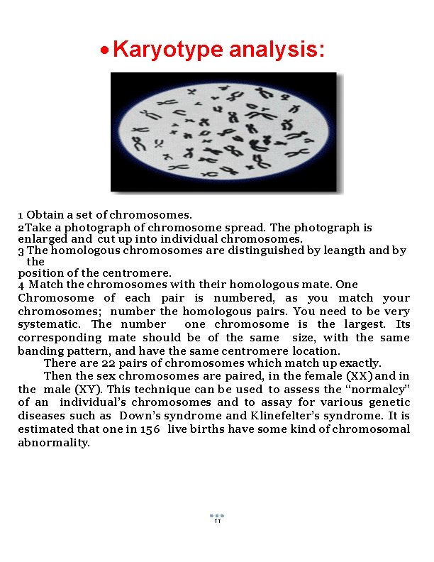  Karyotype analysis: 1 Obtain a set of chromosomes. 2 Take a photograph of