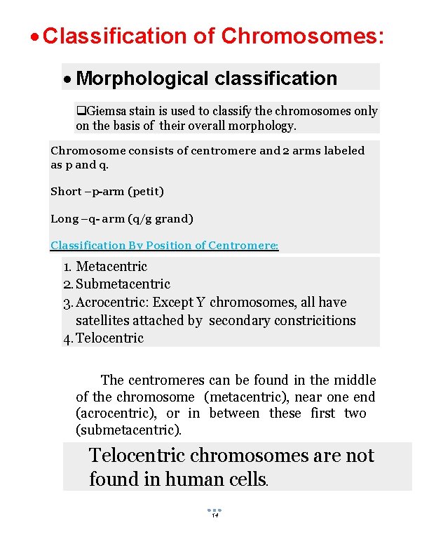  Classification of Chromosomes: Morphological classification Giemsa stain is used to classify the chromosomes