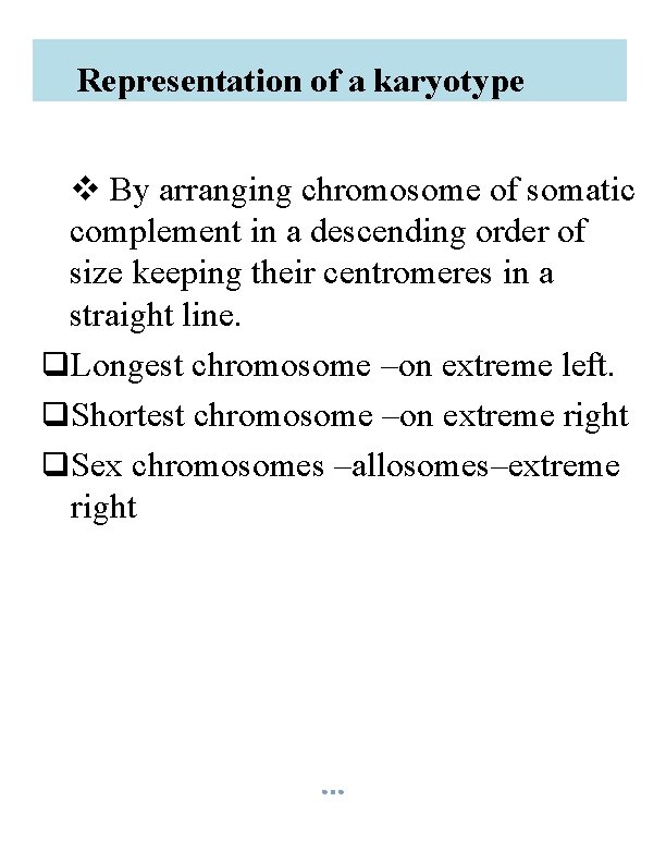 Representation of a karyotype v By arranging chromosome of somatic complement in a descending