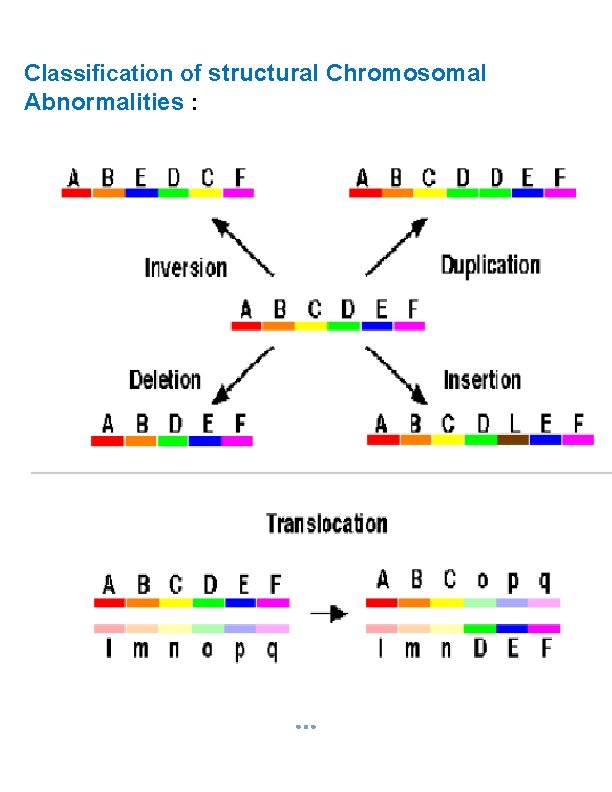 Classification of structural Chromosomal Abnormalities : 