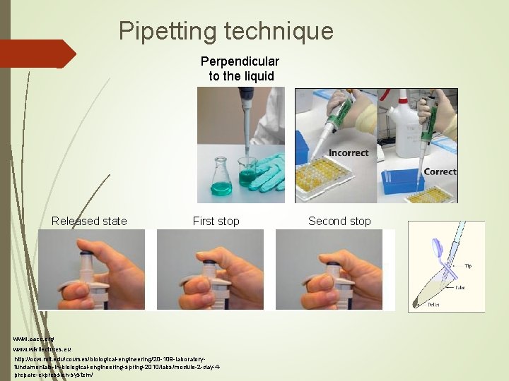 Pipetting technique Perpendicular to the liquid Released state First stop www. aacc. org www.