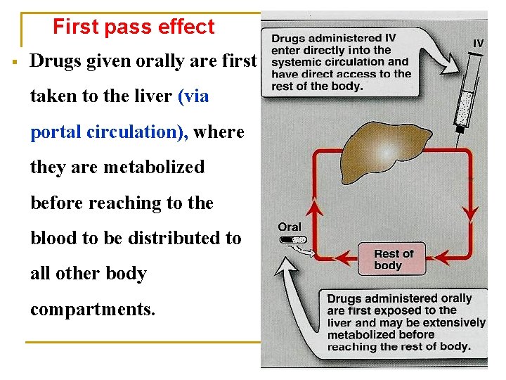 First pass effect § Drugs given orally are first taken to the liver (via