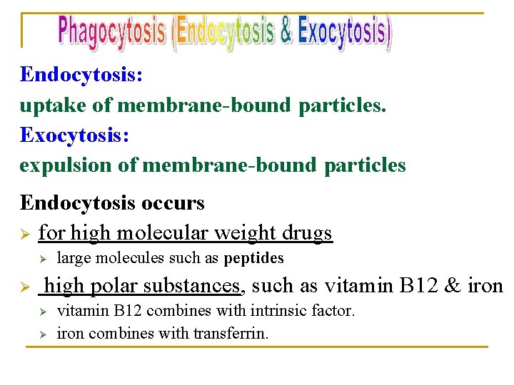 Endocytosis: uptake of membrane-bound particles. Exocytosis: expulsion of membrane-bound particles Endocytosis occurs Ø for