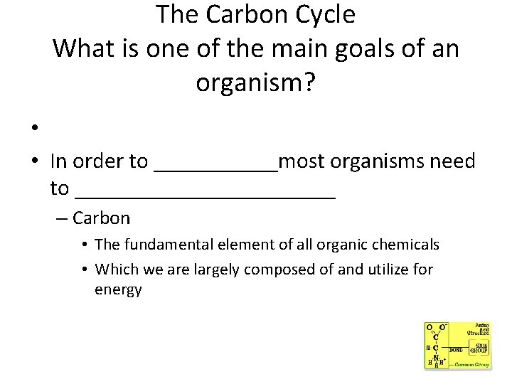 The Carbon Cycle What is one of the main goals of an organism? •