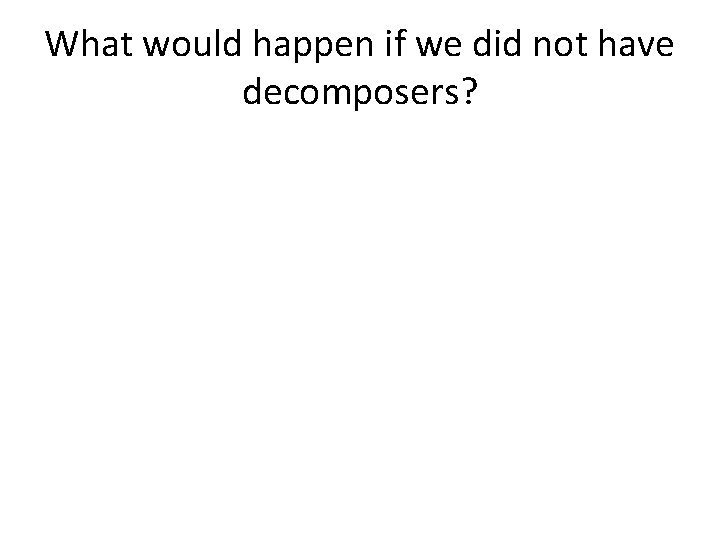 What would happen if we did not have decomposers? 
