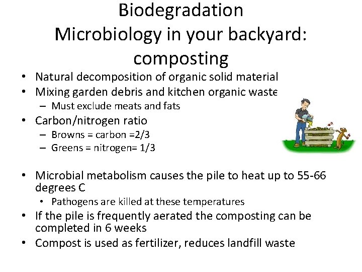 Biodegradation Microbiology in your backyard: composting • Natural decomposition of organic solid material •