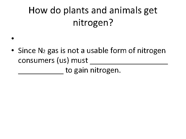How do plants and animals get nitrogen? • • Since N 2 gas is