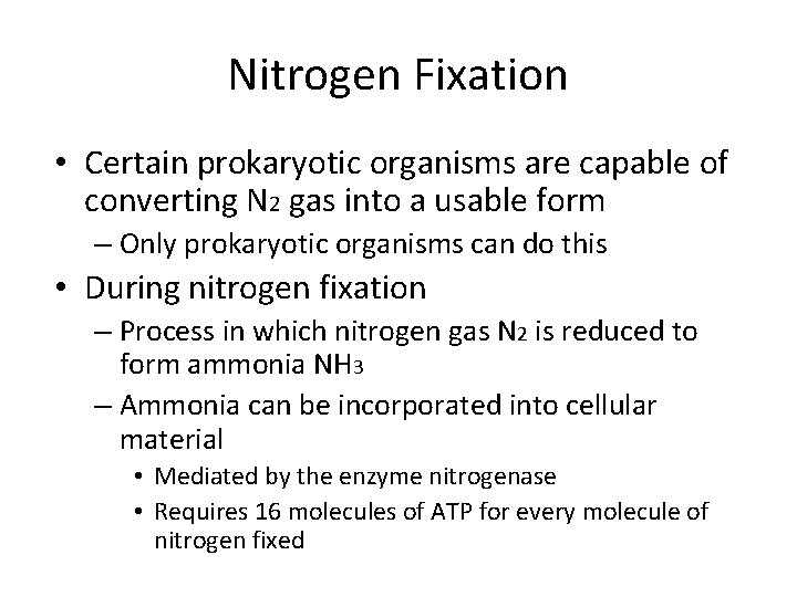 Nitrogen Fixation • Certain prokaryotic organisms are capable of converting N 2 gas into
