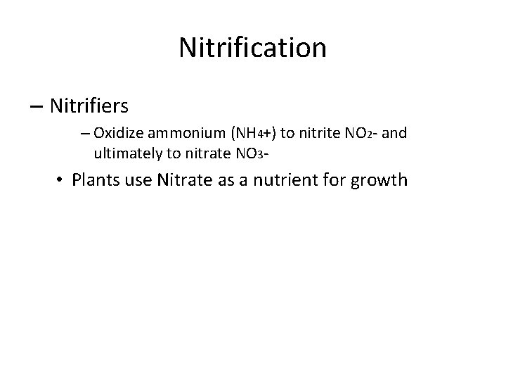 Nitrification – Nitrifiers – Oxidize ammonium (NH 4+) to nitrite NO 2 - and