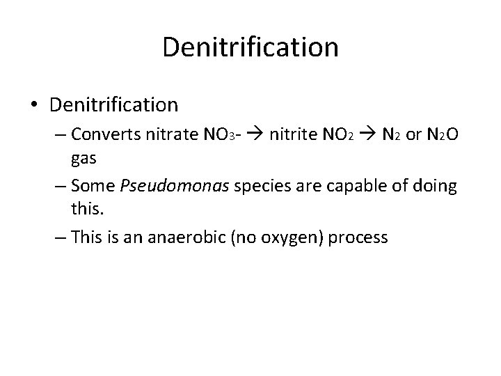 Denitrification • Denitrification – Converts nitrate NO 3 - nitrite NO 2 N 2