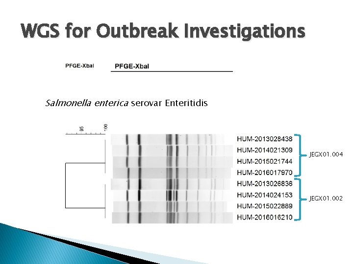 WGS for Outbreak Investigations Salmonella enterica serovar Enteritidis JEGX 01. 004 JEGX 01. 002
