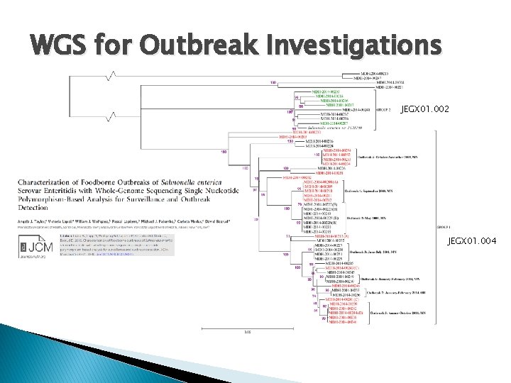 WGS for Outbreak Investigations JEGX 01. 002 JEGX 01. 004 