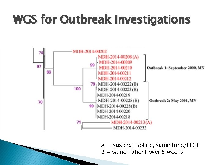 WGS for Outbreak Investigations A = suspect isolate, same time/PFGE B = same patient