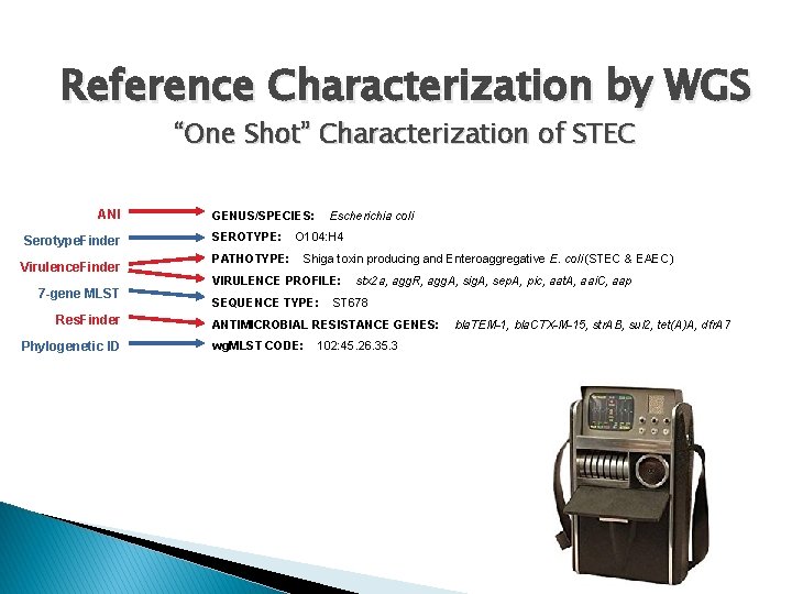 Reference Characterization by WGS “One Shot” Characterization of STEC ANI Serotype. Finder Virulence. Finder
