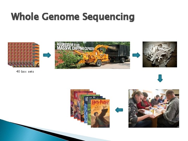 Whole Genome Sequencing 40 box sets 