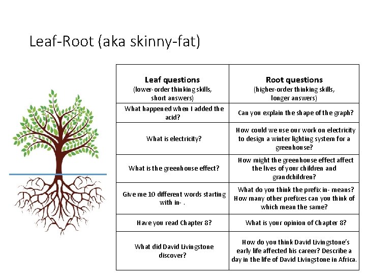 Leaf-Root (aka skinny-fat) Leaf questions Root questions (lower-order thinking skills, short answers) (higher-order thinking
