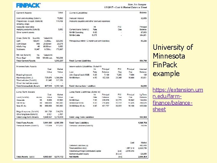 University of Minnesota Fin. Pack example https: //extension. um n. edu/farmfinance/balancesheet 