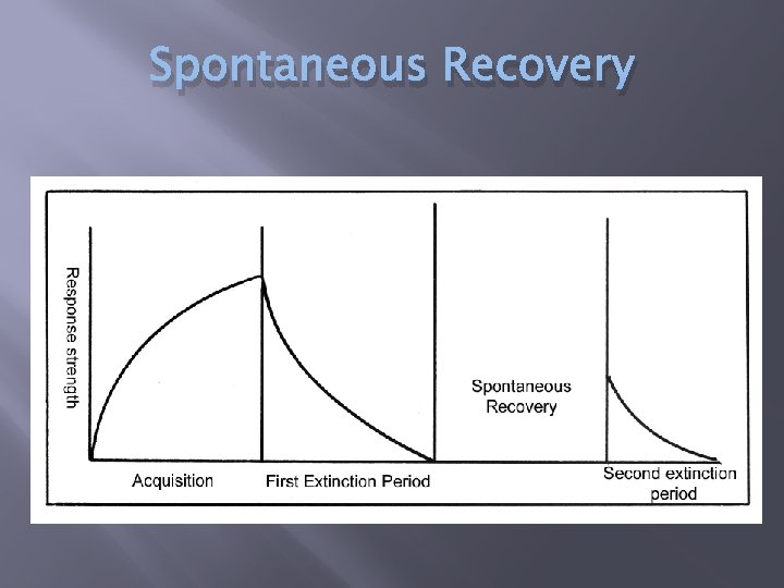 Spontaneous Recovery 