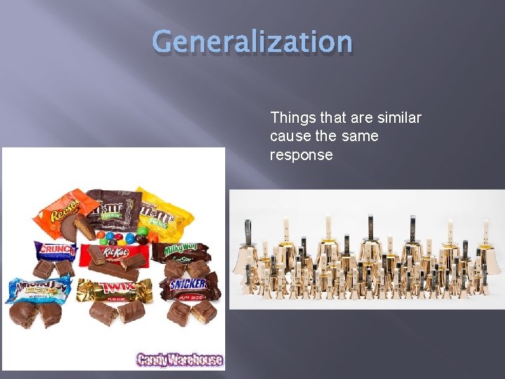 Generalization Things that are similar cause the same response 