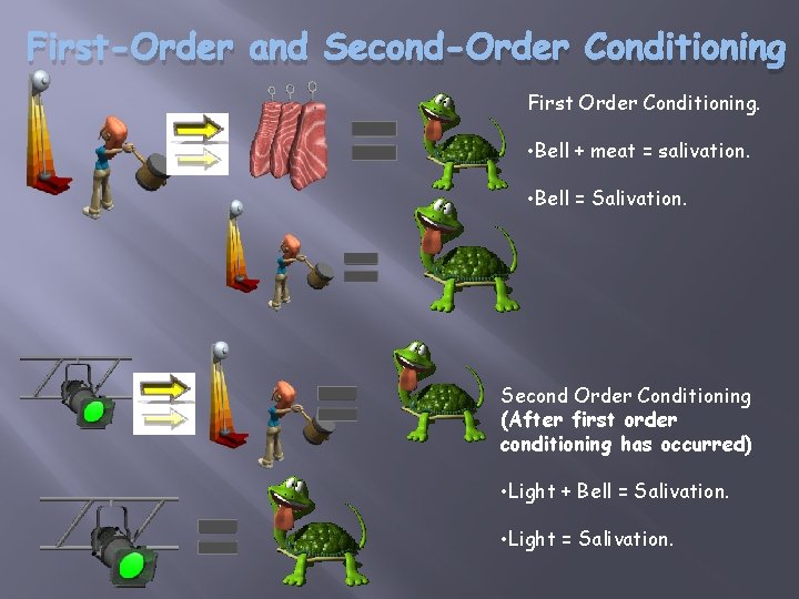 First-Order and Second-Order Conditioning First Order Conditioning. • Bell + meat = salivation. •