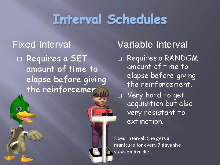 Interval Schedules Fixed Interval � Requires a SET amount of time to elapse before