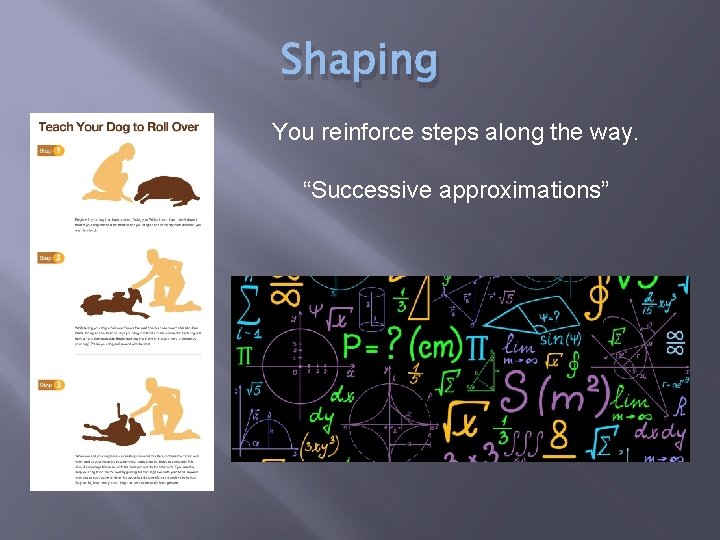 Shaping You reinforce steps along the way. “Successive approximations” 