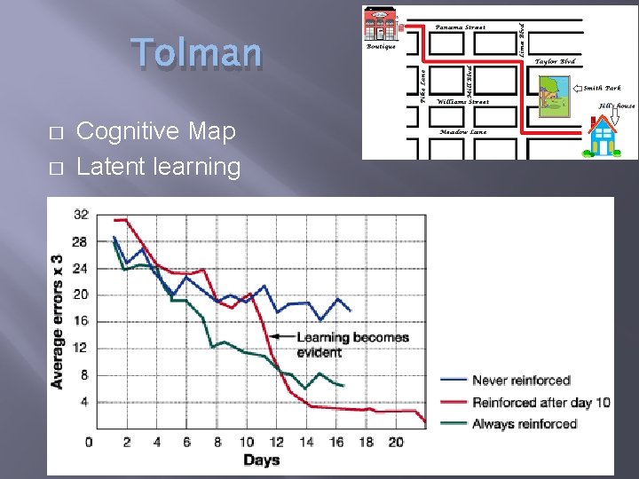 Tolman � � Cognitive Map Latent learning 