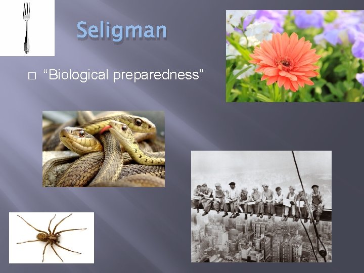 Seligman � “Biological preparedness” 